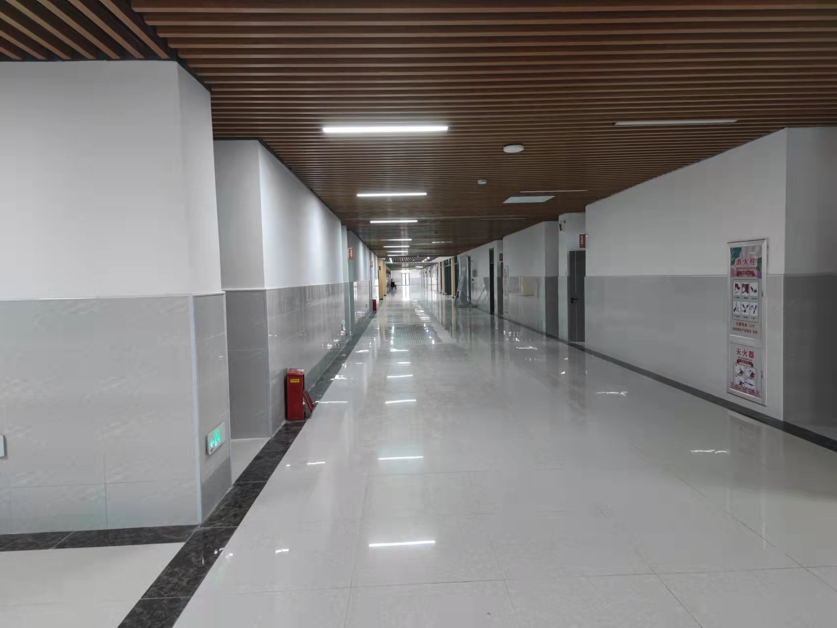 555.jpg 555.jpg